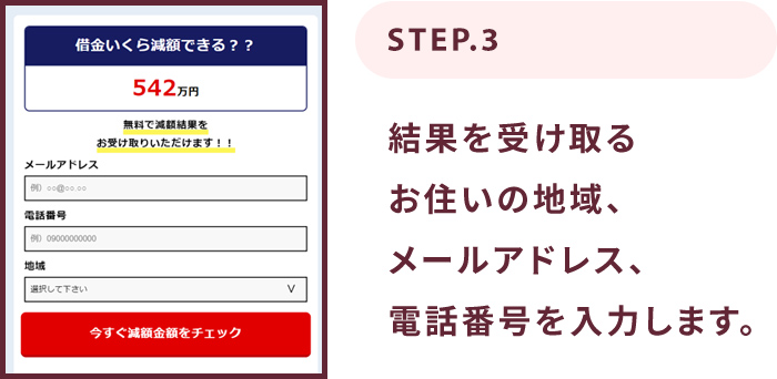 結果を受け取るお住まいの地域、メールアドレス、電話番号を入力